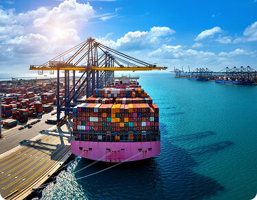 Elit Grup | Filo araç kiralama hizmetleri Blog Başlık